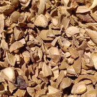 فروش عمده پوست الوک بنه و پوسته هسته زردآلو تناژ