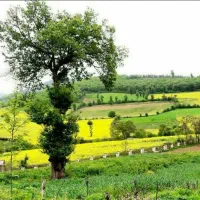 فروش زمین مسکونی