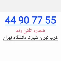 شماره تلفن رند