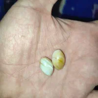 مهره|جواهرات|اهواز, کمپلو جنوبی|دیوار
