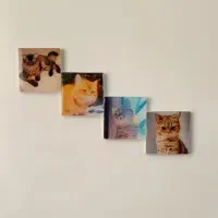 مگنت با عکس‌ دلخواه