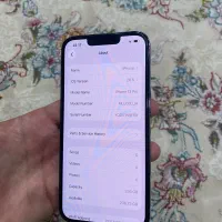 13pro256|موبایل|مریوان, |دیوار