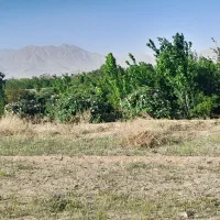 باغ فروشی راوند