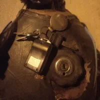 پیداشده