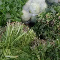 سبزی فروشی