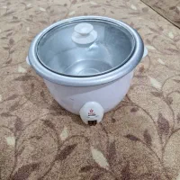 پلوپز|اجاق گاز و لوازم برقی پخت‌وپز|کارون, |دیوار