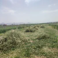 اجاره-زمین-کشاورزی-بصورت-شراکتی