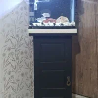 اکواریم