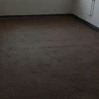 موکت