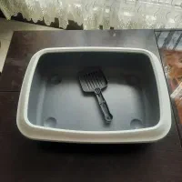 ظرف خاک گربه