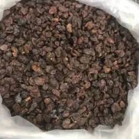 کشمش افتابی حلوایی حراج ویژه