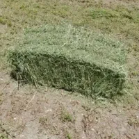 علف بسته بندی خشه یونجه اودوره سایز بزرگ
