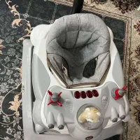 روروئک ،کالسکه