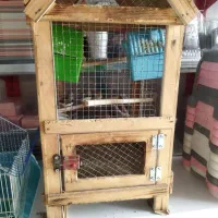 دو عدد فنچ نر. ویک عدد ماده فنچ .