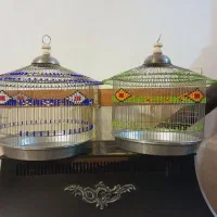 قفس نومهره داروسهره خاکی