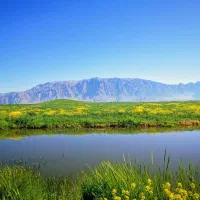 زمین مناسب باغ سراب یاوری