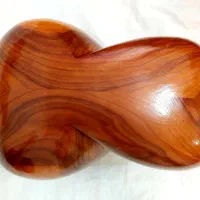 تار سروستان دو مهره