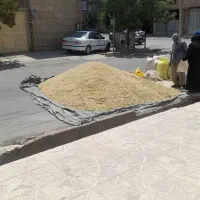 مقداری جو