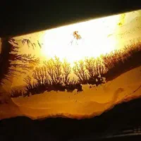 سنگ عقیق شجردرجه ۱