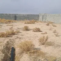 فروش-زمین