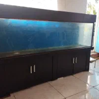 اکواریوم ۲ منری