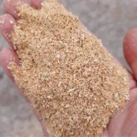 فروش عمده سبوس گندم از کارخانه