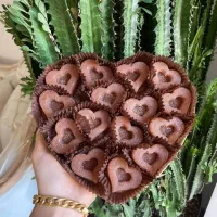 قند تزئینی و نبات رژیمی و گیاهی و میوه ای