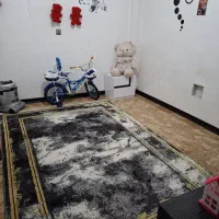 فرش 1200|فرش|خمینی‌شهر, |دیوار