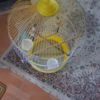 قفس پرنده