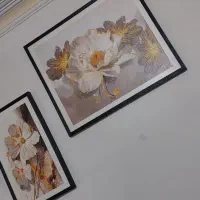 ۳عدد تابلو و پروانه دیواری