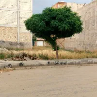 زمین‌دونبش