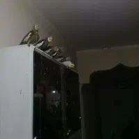 سنگ سرامیک مینیاتور