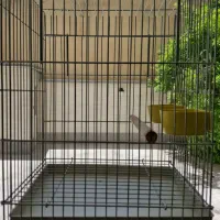یک عددقفس قدیمی طوطی وعروس هلندی