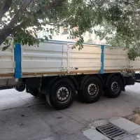 کفی لبه دار ماموت