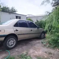 405عروسک