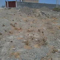 کسب کار