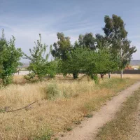 باغ شهری ۷۰۰ متری دنج پروژه عالیزه