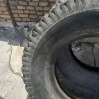 لاستیک|قطعات یدکی و لوازم جانبی|باوی, |دیوار