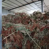 ۱۰ تن جارو دستی یا جارو مشهدی فله