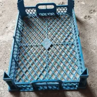 سبد میوه
