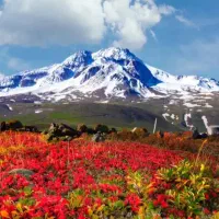 فروش عسل طبیعی سبلان اصل و خالص