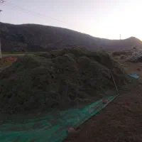 یونجه|لوازم جانبی حیوانات|طسوج, |دیوار