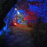زمین ۷ هکتار