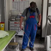 سمپاشی فوری تخصصی باضمانت نامه کتبی سوسک موش و...