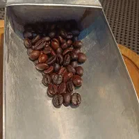 فروش انواع قهوه ونوشیدنی ها