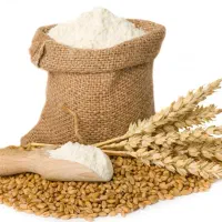 گونی آرد تازه