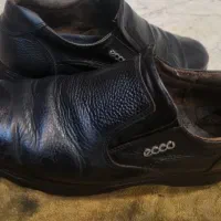 کفش چرم ECCO اصل