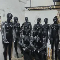 جالی دلنواز آینه استند رخت اویز مانکن رگال ۹۸
