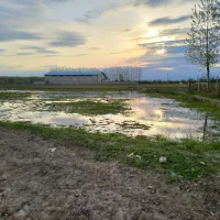 زمین-شالیزار-لب-اتوبان-دوبر