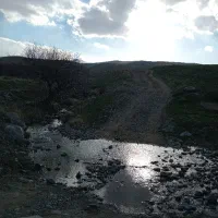 همراه پیاده روی دو نفره
